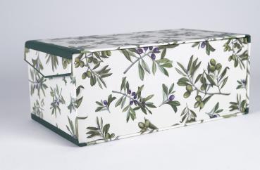 Photo box with divisions olive branches green