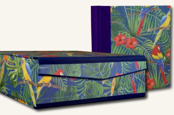 Archive box and photo album parrots for children