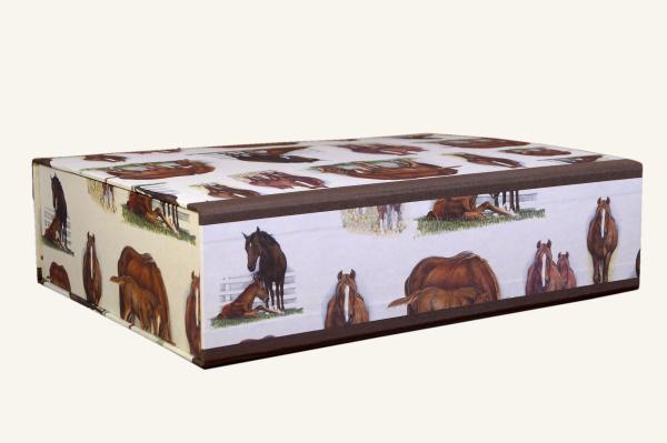 Stabile Aufbewahrungsbox mit Pferdepapier